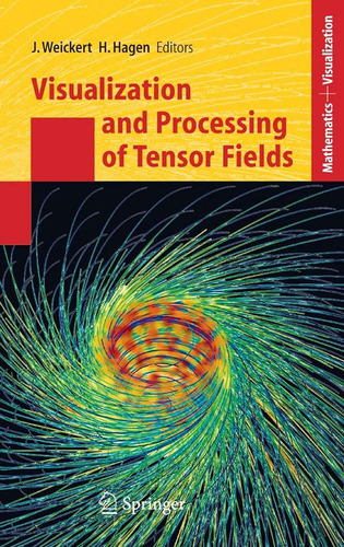 Visualization And Processing Of Tensor Fields - Weickert