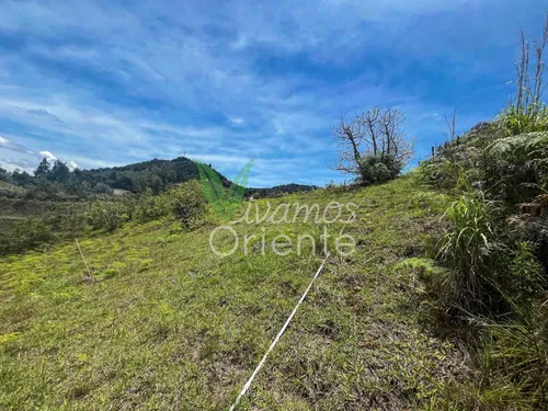 Lote Con Licencia En Guarne