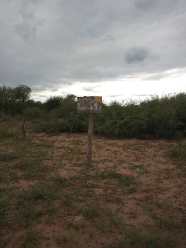 Imagen 4 de 7 de Gran Campo Ganadero!