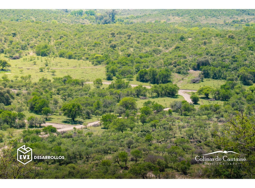 Imagen 4 de 6 de Colinas De Cantamé