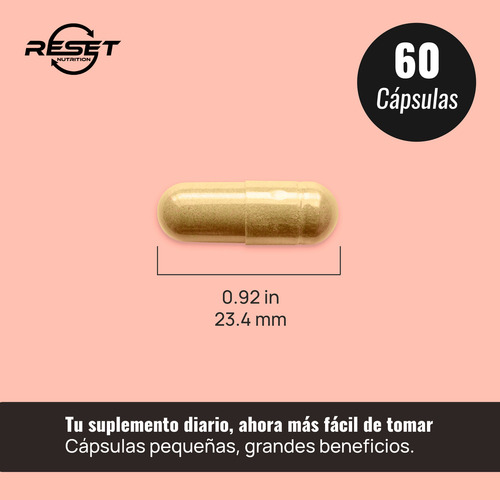 Reset Nutrition Immune Support 60 Cápsulas Suplemento Alimenticio para Fortalecer el Sistema Inmunológico Proteger contra Resfriados y Aumentar la Vitalidad