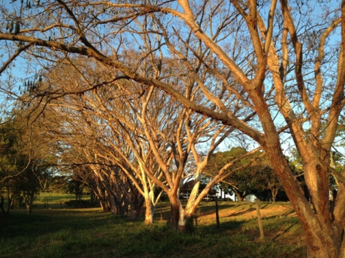 Fazenda À Venda Em Marabá Paulista - Fa00121 - 69026817