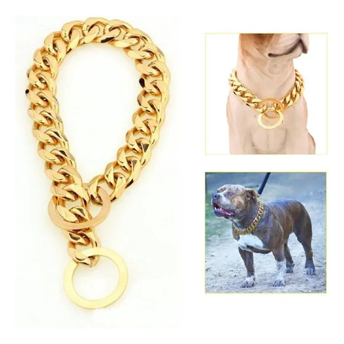 Collar De Lujo Para Mascotas Especiales Cadena Gruesa Y Códi