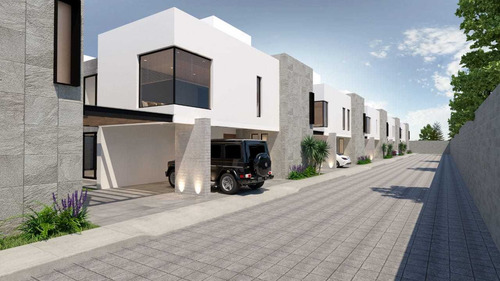 Imagen 1 de 14 de Desarrollo Villas De Santa Maria