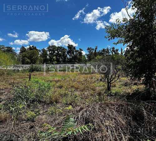 Terreno Fraccion En Venta En Loma Verde, Escobar. Oportunidad Inversores. 25.515m2 Sobre Calle Boot