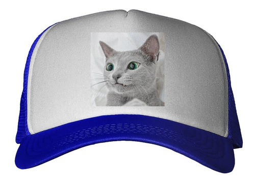 Gorra Gato Azul Ruso Ojos Verdes Tierno