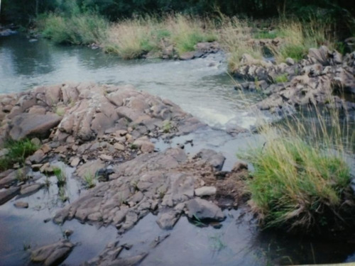 Imagen 5 de 9 de Campo Ganadero 977 Has En Artigas, Costas Del Pintado Grande