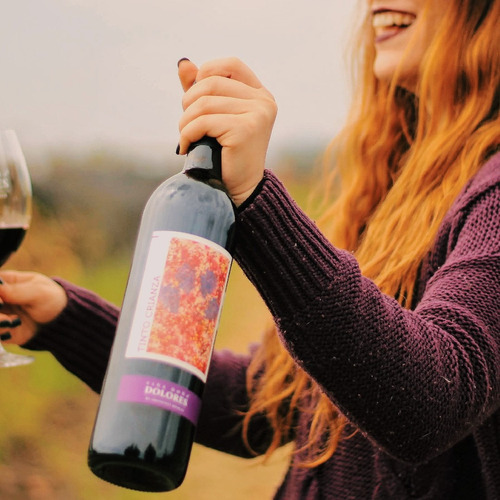 Vino Tinto Viña Dolores Tinto Crianza 750 Ml