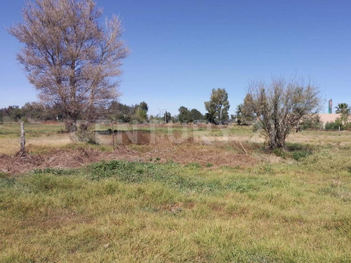 Terreno En Venta En Los Gómez, Soledad, Slp.