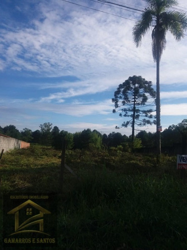 Imagem 5 de 11 de Terreno Com 2.500m² Em Quatro Barras - Te00022 - 33357972
