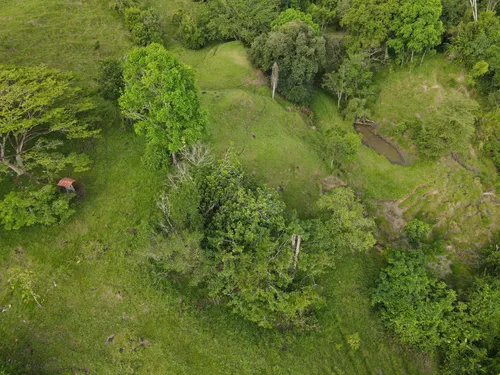 Lote En Venta En Yurupary. Cod V12710