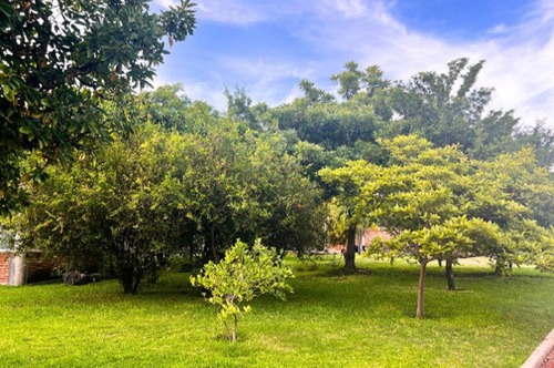 Terreno En Venta Con Alberca En Chiconcuac, Xochitepec Morelos