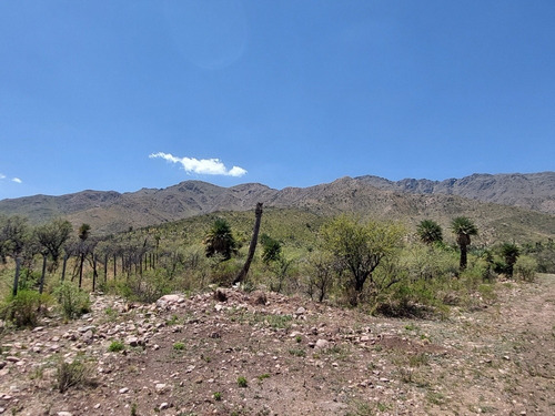 23 Hectáreas, Excelente Ubicación, Insuperable Vista