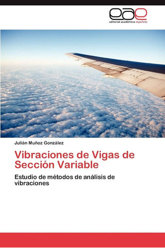 Libro: Vibraciones De Vigas De Sección Variable: Estudio De