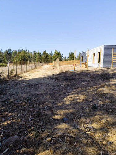 Sitios 800m2 Las Gaviotas Planos Concon