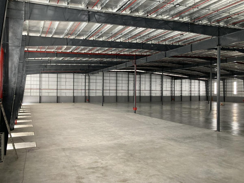 Imagen 4 de 9 de Nave 8.000m2 - Esteban Echeverria