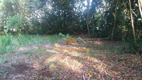 Imagem 9 de 25 de Terreno À Venda, 490 M² Por R$ 735.000,00 - Massaguaçu - Caraguatatuba/sp - Te0026