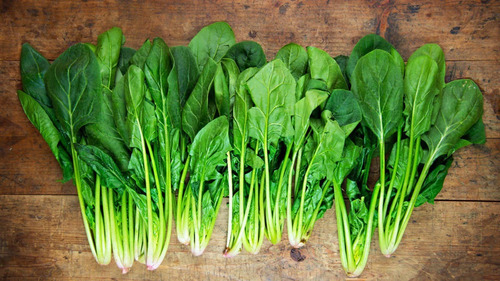 Semillas Espinaca X Sobre Huerta En Casa