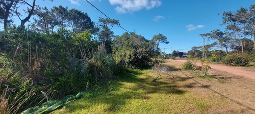 Imagen 4 de 28 de Vendo 1 O 2 Lotes De 584 M2 En Punta Del Diablo