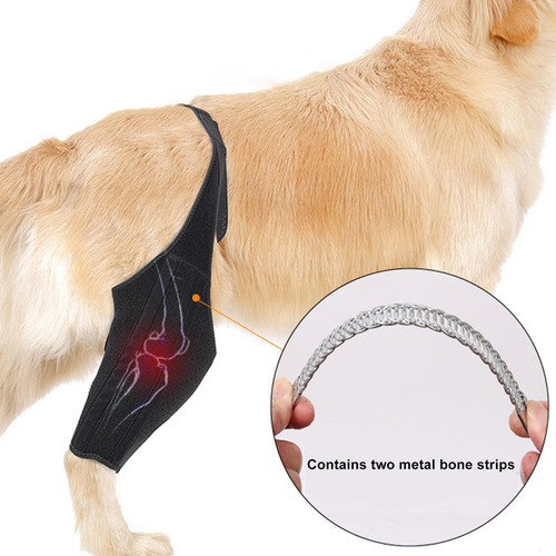 Soporte De Cadera Para Perro Soporte Para Patas Traseras De