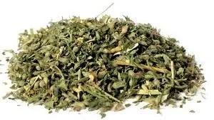 Chalesco Catnip 10g ( A Erva Do Gato )