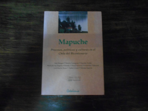 Mapuche. Procesos, Políticas, Culturas En Chile Bicentenario