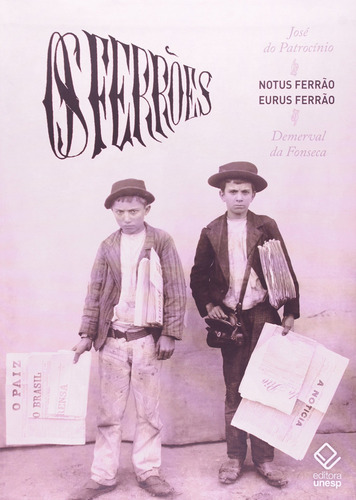 Os ferrões: 1º de junho a 15 de outubro de 1875, de Patrocinio, José do. Editorial Fundação Editora da Unesp, capa mole em português, 2014