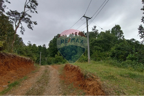 Gran Terreno 5.5 Ha Cercano Al Pueblo De Mafil