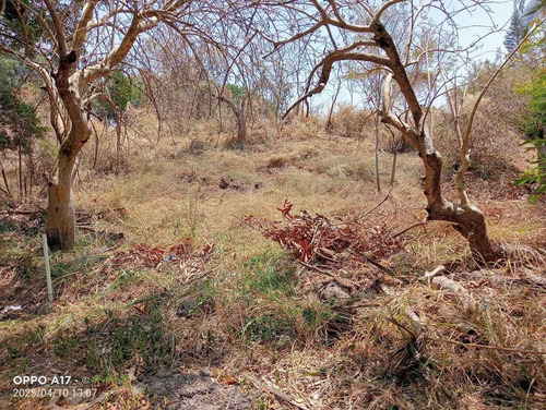 Terreno En Venta En Lomas De Cocoyoc