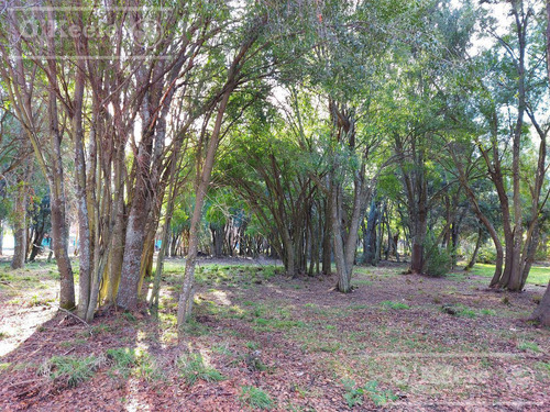 Imagen 3 de 9 de Excelente Terreno A La Venta En Barrio Cerrado Bariloche