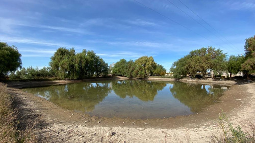 Venta | Finca | Anchoris | Tupungato | Mendoza