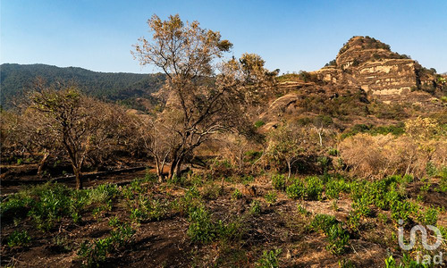 Venta Terreno 0 Ambiente Santo Domingo Ocotitlán