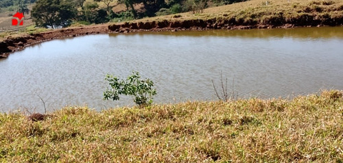 Imagem 1 de 7 de Chacara - Vila Uniao - Ref: 1425 - V-1425