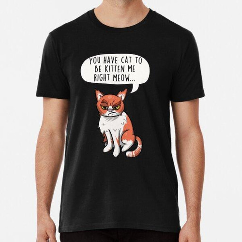 Remera You Have Cat To Be Kitten Me Right Meow - Grumpy Anim