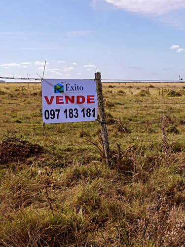 Vendo 5has De Campo, Es Esquinero Forma Triangular Sobre Ruta Nacional Número 19 Km 17 Paraje Isla Negra. Con Títulos, Sin Deudas.