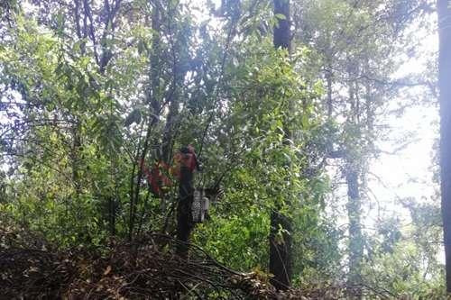 Imagen 12 de 25 de Terreno De 4,418 Metros En Venta En El Desierto De Los Leones