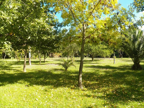 Imagen 8 de 8 de Finca - Gualeguaychu