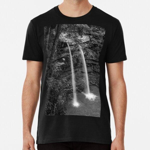 Remera Neil Compton Double Falls En Las Montañas Ozark - Bla