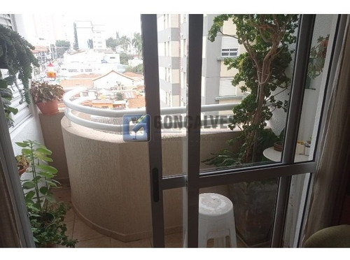 Imagem 13 de 15 de Venda Apartamento Santo Andre Campestre Ref: 58669 - 1033-1-58669
