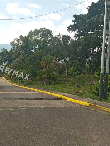 Imagen 2 de 6 de Venta.terreno.eljunco
