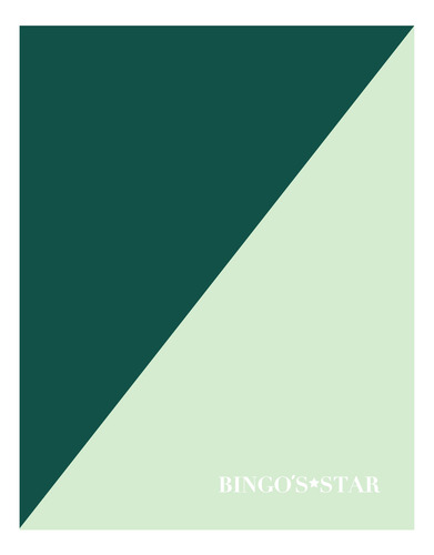 Set Playeras 2 Pzas.cuello V Para Hombre Bingos Star,
