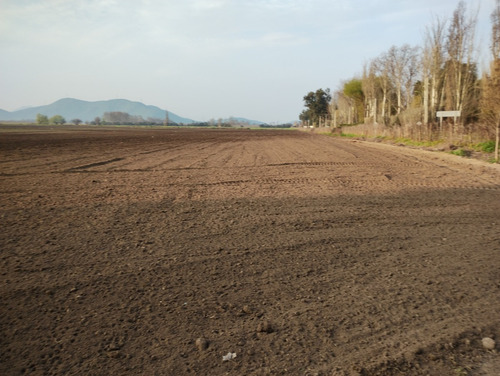 Imagen 4 de 5 de Gran Oportunidad. Se Vende Terreno Agrícola De 8,3 Hectareas