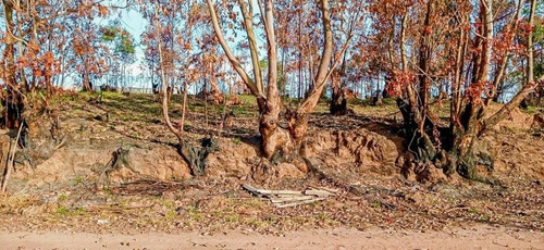 Imagem 9 de 15 de Terreno A Venda No Bairro Loteamento Colinas Verdes - Atibaia, Sp - 328