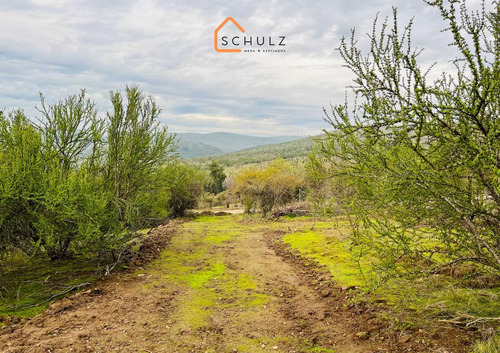 Se Vende Parcela En Lomas De Rauquén (70059)