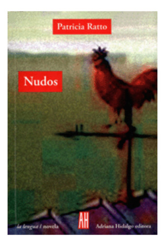 Nudos - Patricia Ratto - Adriana Hidalgo - Libro