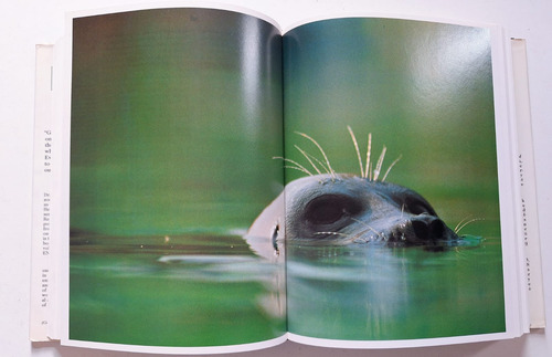 Grimek's Enciclopedia Mammals Volumen 4 Libro En Ingles (Reacondicionado)