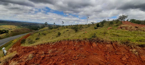 Imagem 14 de 14 de E11- Lotes Com Documentação