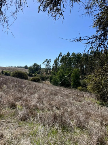 Parcelas A 35 Minutos De Pichilemu, Pie 0
