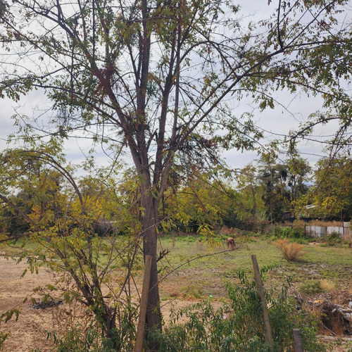 En Venta Terreno Para Desarrollo Inmobiliario Rinconada De L