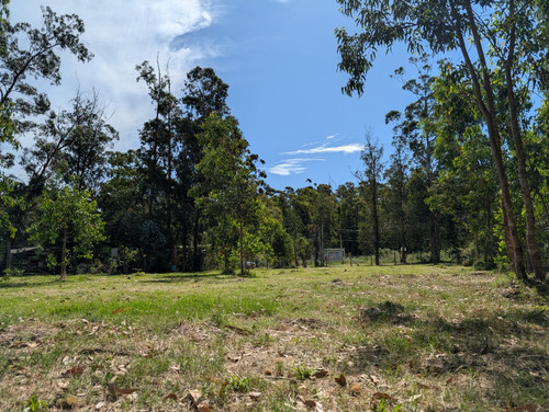 Terreno Limpio Y Cercado Bella Vista 150 Mts Del Mar. A Minutos De Piriápolis
